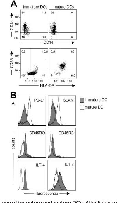 Figure From Differentiation Of Tr Cells By Immature Dendritic Cells