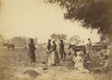 Rare Pictures That Show What Daily Life Was Like In The 1800s