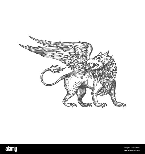 Griffin Mythology Creature With Eagle Head Lion Body And Eagle Wings