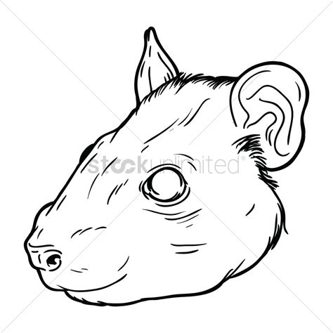 Rat Drawing at GetDrawings | Free download