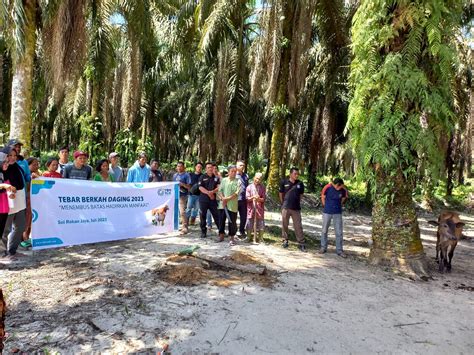 Ybm Pt Pln Pekanbaru Giat Program Tebar Berkah Daging Menembus