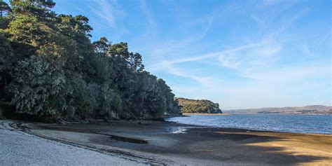 Tomales Bay State Park Outdoor Project