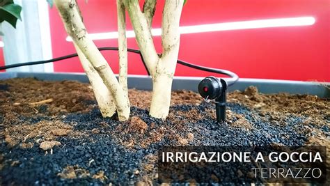 Junior Garden Irrigazione A Goccia O Micro Irrigazione Terrazzi E Balconi