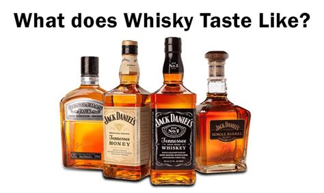 What Does Whiskey Taste Like Types Of Whiskey Their Tastes