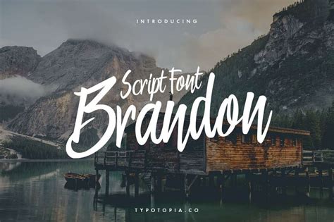 Brandon Font · 1001 Fonts