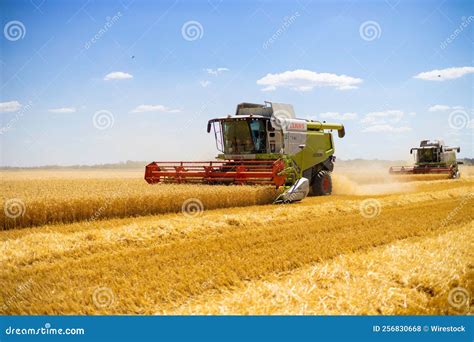 Combinar Cosechador Cosechando Trigo Dorado Maduro En El Campo Foto De