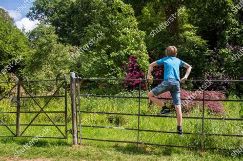 Boy Enjoys Woods Cannizzaro Park Wimbledon Editorial Stock Photo ...