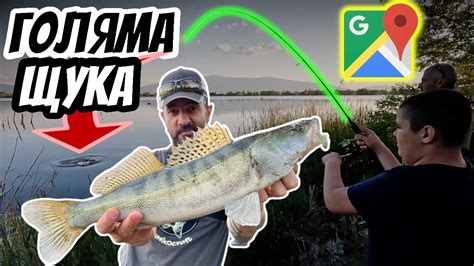 4 ВИДА риба на СОФИЙСКА ЛОКВА! Риболов на ЩУКА, БЯЛА РИБА, УКЛЕЙ и ...