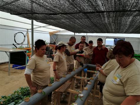 Finaliza El Certificado De Actividades Auxiliares En Agricultura