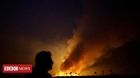 Incêndios batem recorde no Pantanal dava para prever seca que alastra