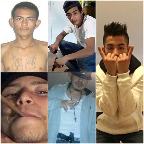 MS-13: Alive and Well in New York - The Jewish Voice
