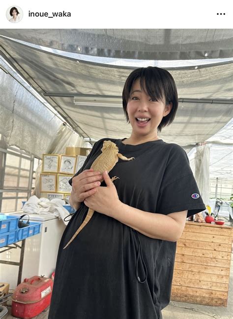 第2子妊娠の44歳井上和香、ふっくらお腹ショット公開「安産きーがん！」の声 芸能写真ニュース 日刊スポーツ