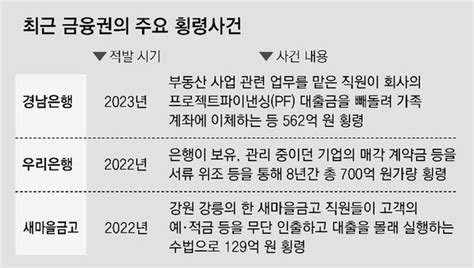 10년 넘게 돈 빼돌려도 모르는 은행작년 1000억 올핸 벌써 600억 네이트 뉴스