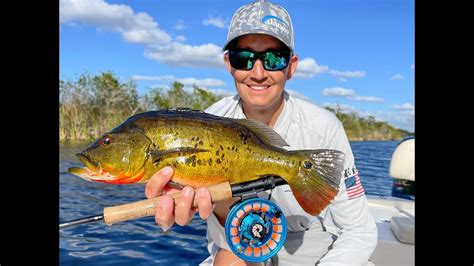 Most Insane Fishery In Florida Everglades Peacock Bass And Exotics