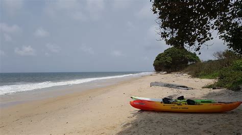 Plage Dans Le Parc National De Pongara Gabon Plages Mer Mer