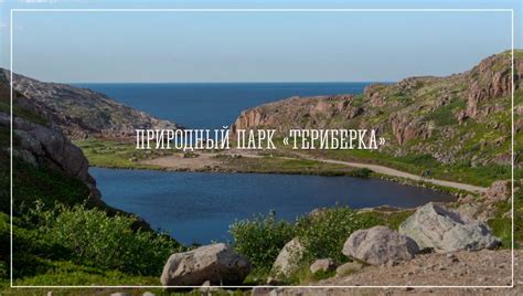 Разрешение на посещение природного парка «Териберка»