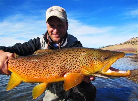 Trophy Pictures Colorado Trout Hunters