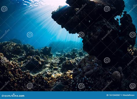 Cena Submarina Corais Rochas E Raios Solares Mar Azul Tropical