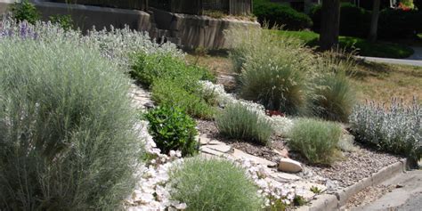 A Beginner S Guide To Xeriscaping Millcreek Gardens