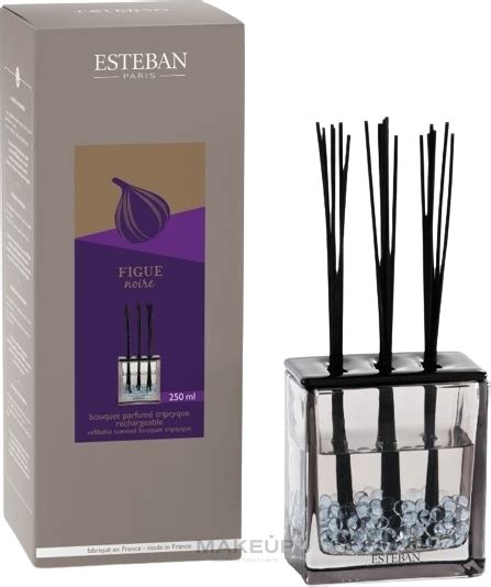 Esteban Figue Noire Triptyque Fragrance Diffuser Makeup Ae