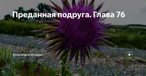Преданная подруга. Глава 76 | Бронзовое кольцо | Дзен