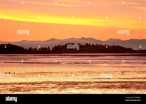Sunrise At Kina Beach Near Motueka Tasman South Island New Zealand