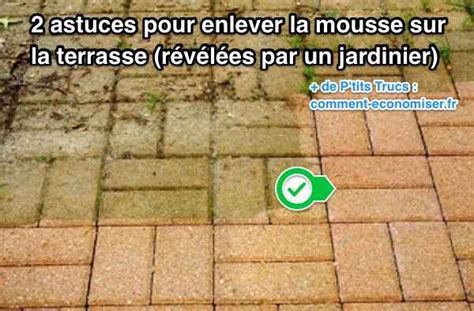 2 Astuces Pour Enlever la Mousse sur la Terrasse Révélées Par un