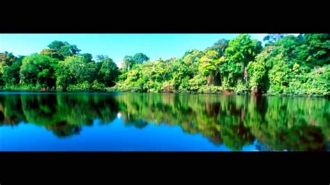 Viva Las Maravillas Naturales De Costa Rica Y Hagas Suyas Prestamos