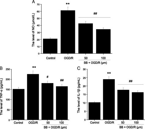 Effects of bilobalide on the levels of nitric oxide TNF α and IL 1β