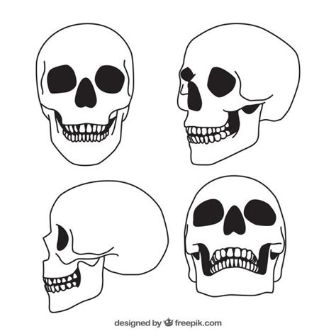 Set De Cuatro Calaveras Dibujadas A Mano Vector Gratis How To Draw