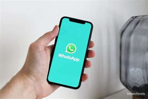 Ini 6 Cara Mengatasi Panggilan WhatsApp Tidak Muncul Pada Notifikasi