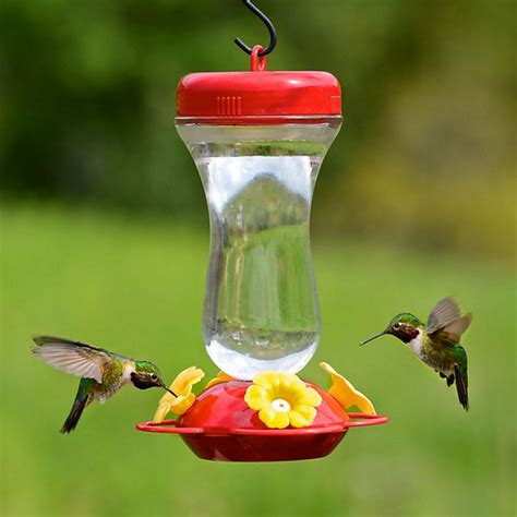 Top Fill Glass Hummingbird Feeder Glass Hummingbird Feeder With Perches The Birdhouse Chick