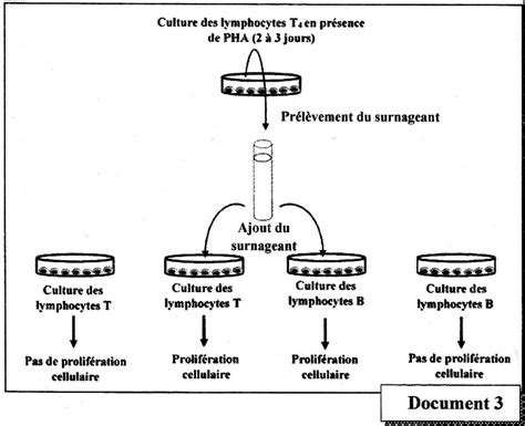 Examen National Session Rattrapage 2023 Sciences De La Vie Et De