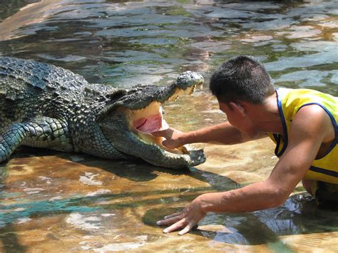 Crocodile Farm - Taxi Service from Bangkok to all destinations in Thailand