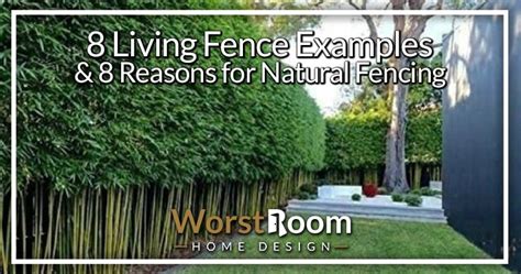 Living Fence Examples Reasons For Natural Fencing Worst Room