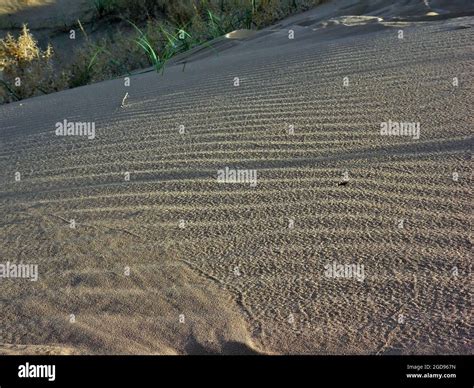 sand dunes in gobi desert Stock Photo - Alamy