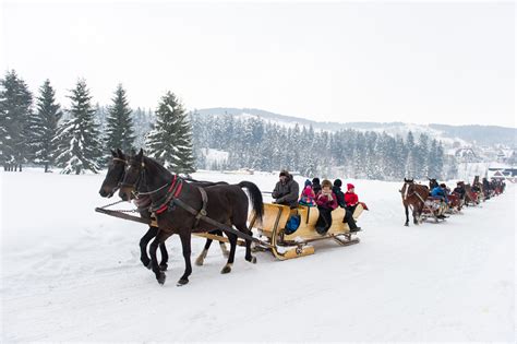 Kulig Zakopane sanie i kuligi w Dolinie Chochołowskiej w Zakopanem