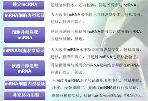 经典cerna科研思路：lncrnamirnamrna轴在癌症发生发展过程中的指导性参考 知乎