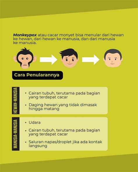 MerdekaBelajar On Twitter Cacar Monyet Itu Berbahaya Atau Tidak Ya