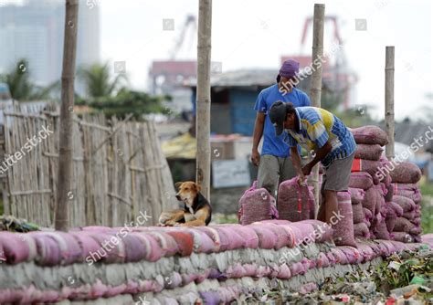 Filipino Residents Carry Sandbags They Reinforce Editorial Stock Photo