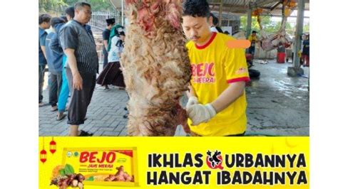 Bejo Jahe Merah Gandeng DMI Perkuat Semangat Qurban Di Masjid Raya