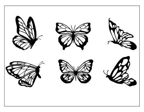 Colecci N Mariposa Dibujo Blanco Y Negro Vector En Vecteezy