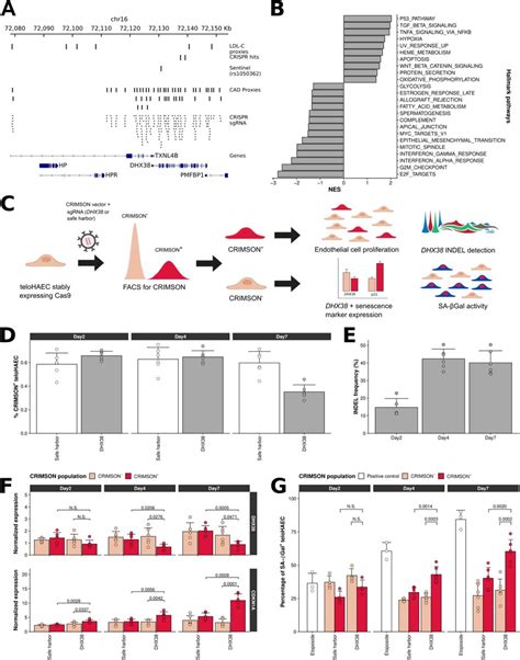 Telohaec Cell Lines Atcc Bioz