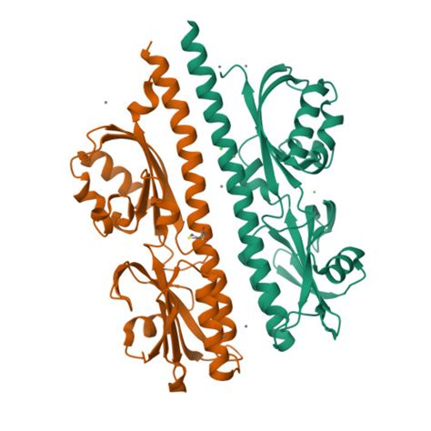 RCSB PDB 6E0A Crystal Structure Of Helicobacter Pylori TlpA