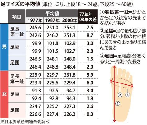 足のサイズの正しい測り方と平均まとめ足長足幅足囲