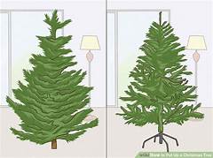 When To Put Up Christmas Tree
