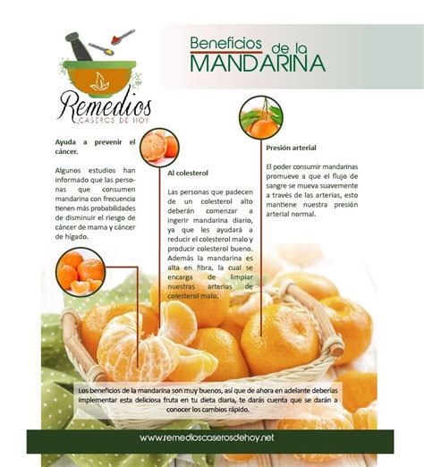 Conoce Los Grandes Beneficios De La Mandarina Para Más Visita