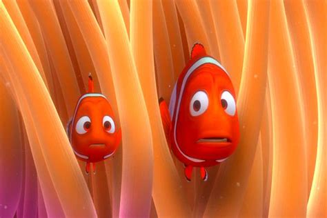 Nemogallery Disneys Sebastian And Dory Wiki Fandom Powered By Wikia