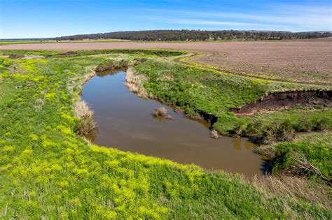 Ryeford Qld 4361 Sold Rural Cropping Property Ray White Rural