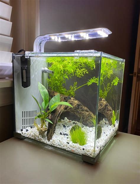 Top Fin Gallon Glass Aquarium Atelier Yuwa Ciao Jp